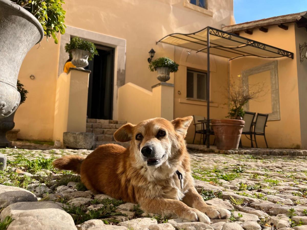 Agriturismo Castello Santa Margherita Cori Extérieur photo